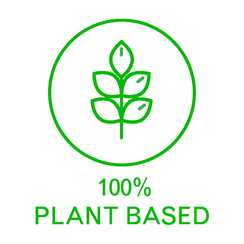 Plant Based Skin Care