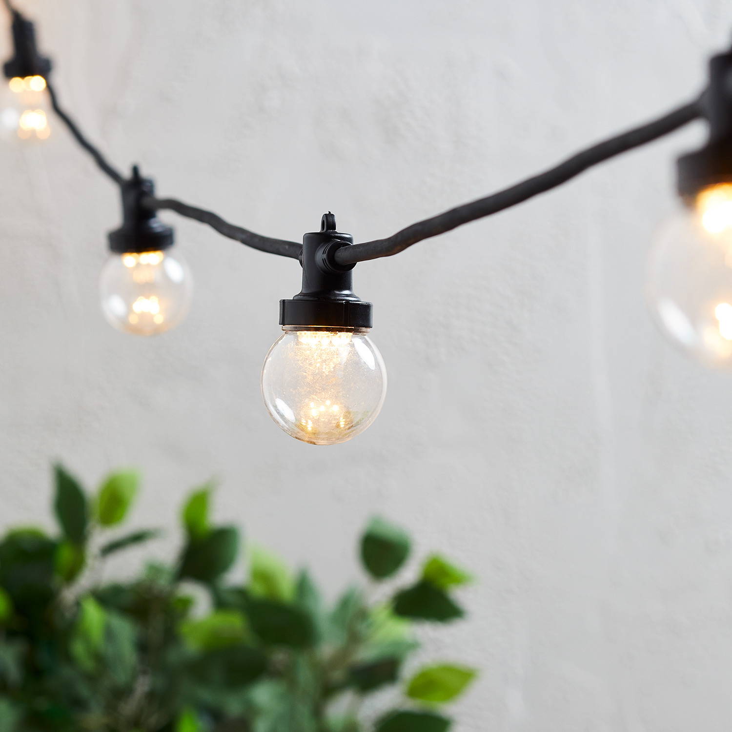 A close up image of clear cap warm white festoon lights from the Pro Connect range.