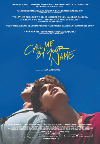 Movie poster for Call Me By Your Name