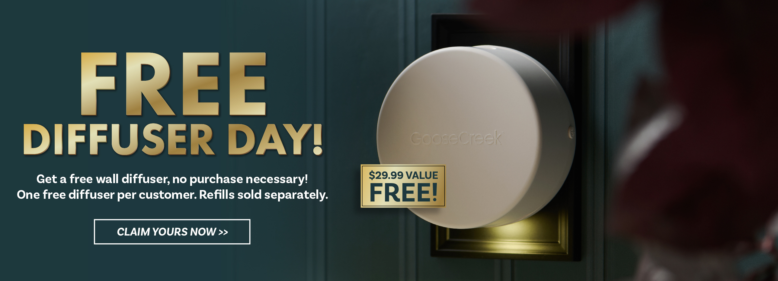 Promotional banner for free diffuser day with a diffuser image.