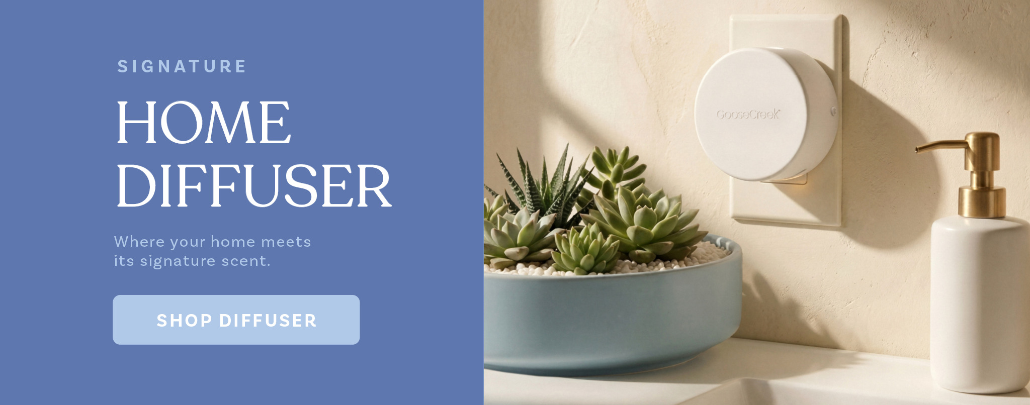 Home diffuser with plants and a bottle on a light background.
