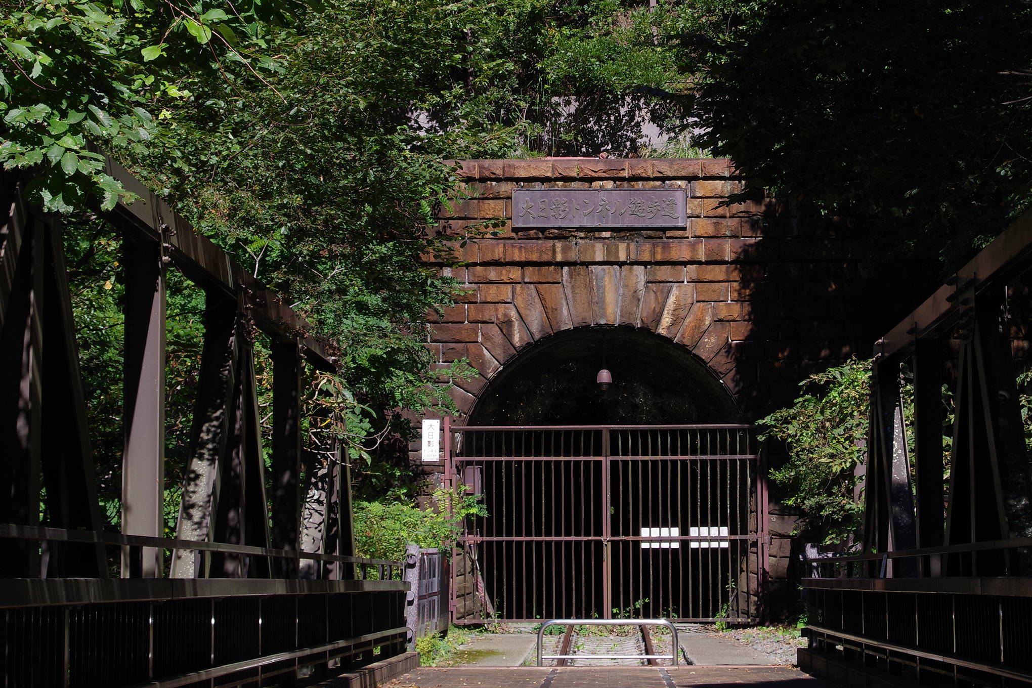 旧深沢トンネルの向かい側には、同じく近代化産業遺産である旧大日影鉄道隧道も。