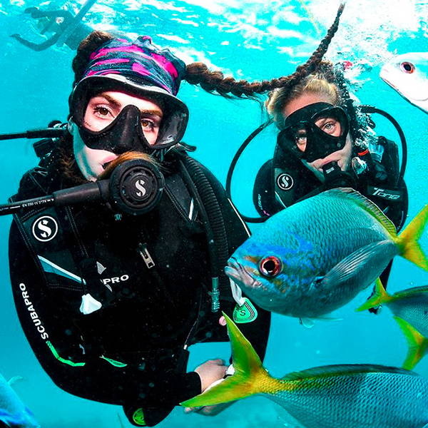 Sally Higgs wearing a face shield as a headband, and another lady scuba diving with a school of fish.