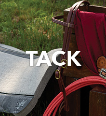 Tack equipment including a saddle pad, bridle, and rope.