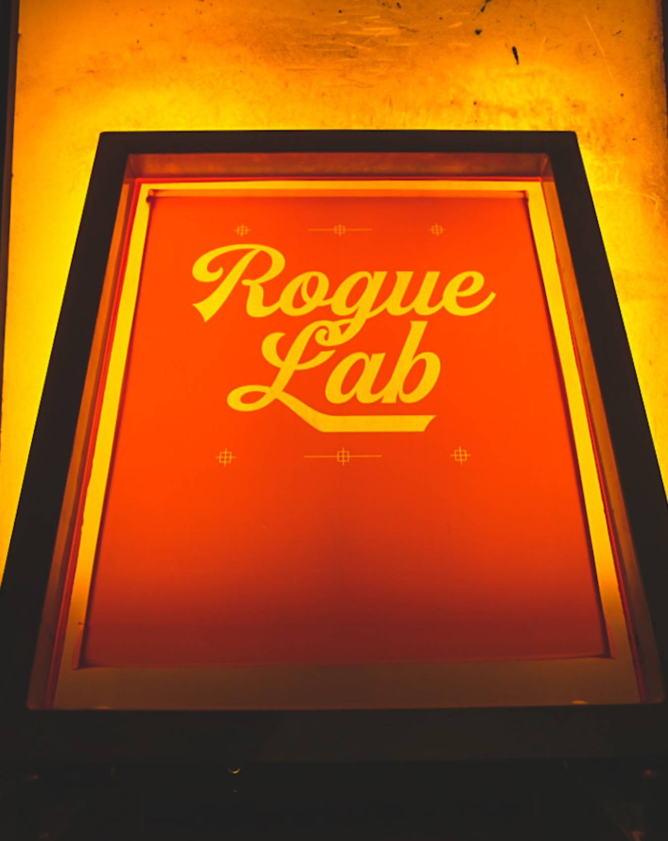 Image of Rogue Lab Screen in Washout Booth
