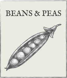 Jump down to Beans & Peas growing guide