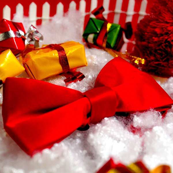 A red bow tie photographed with gifts