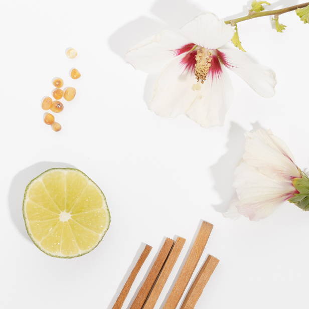Copaline Ingredients