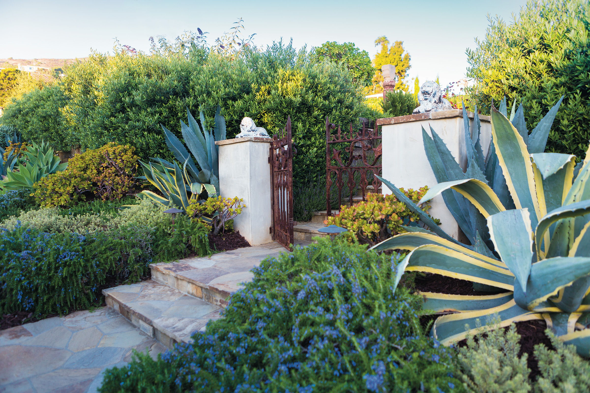 Residential Exterior Landscape + Design in Orange County – Rolling Greens