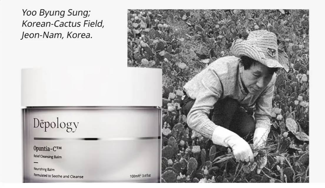 Depology Opuntia-C™ Relief Cleansing Balm researched by korean scientist