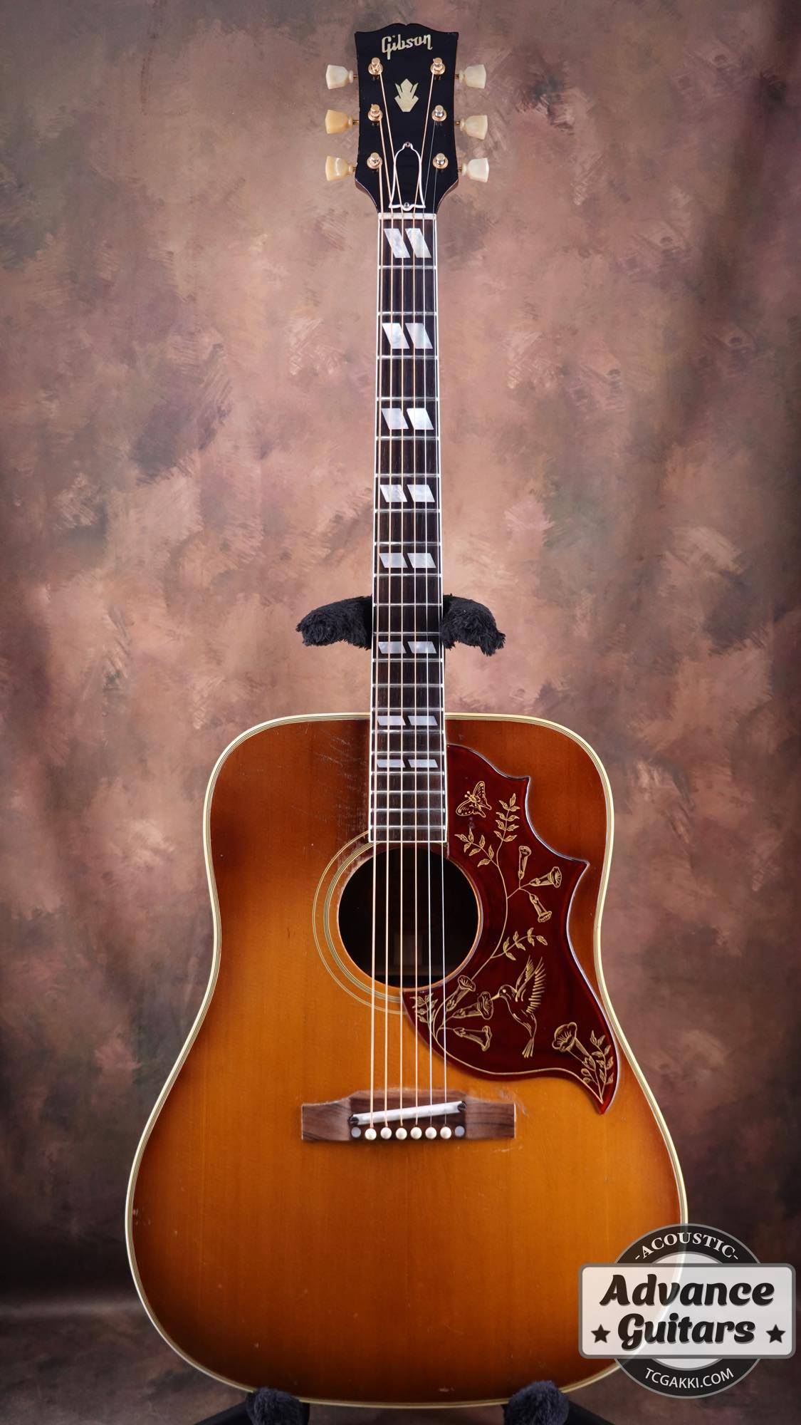 Pickguard (Protège-Micro) En Bois D'Érable Pour Gibson Les Paul USA - Avec Covers De Commande Et De Truss Rod