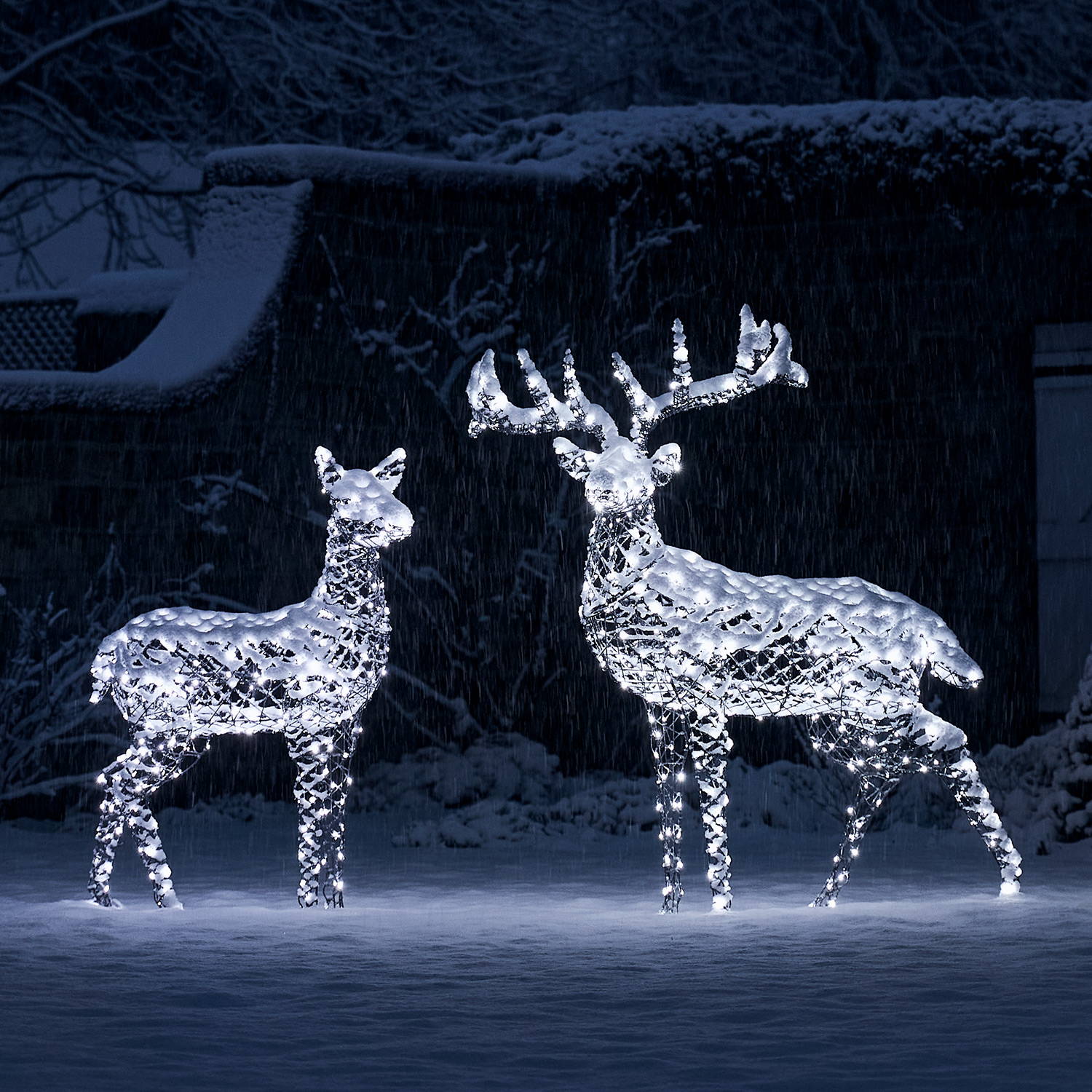 Rattan stag & doe light up reindeer figures outside covered in snow.