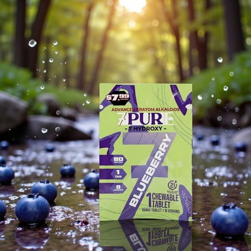 PUR blueberry energy supplement box in a natural setting with blueberries.