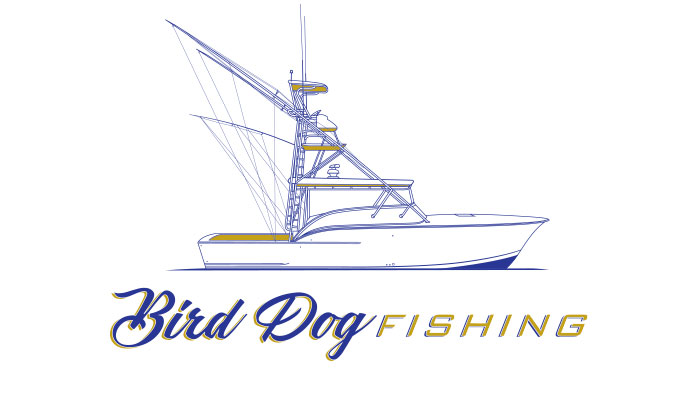 Custom Digital Boat Name Logo Design