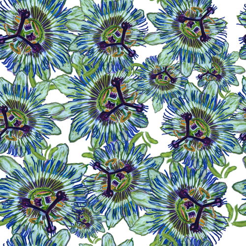 A pattern of vibrant blue and green passion flowers on a white background.