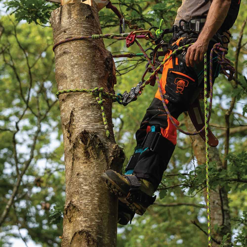 Person climbing a tree with safety gear and ropes.