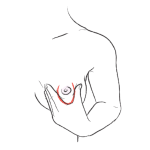 illustration of a u-hold of breast while breastfeeding