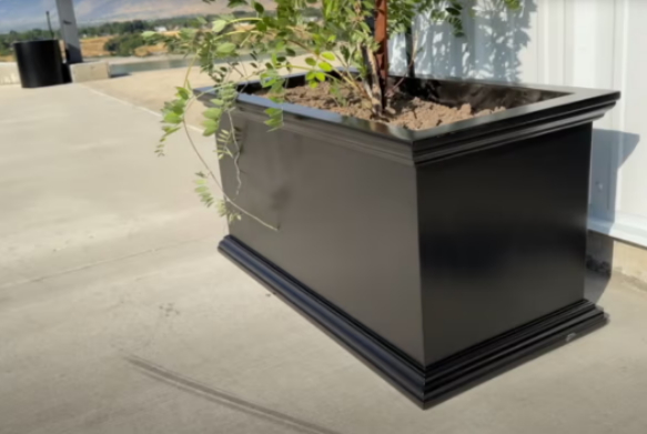 Black planter box with soil and a small plant.