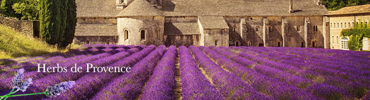 High Quality Organics Express Lavender Field in France