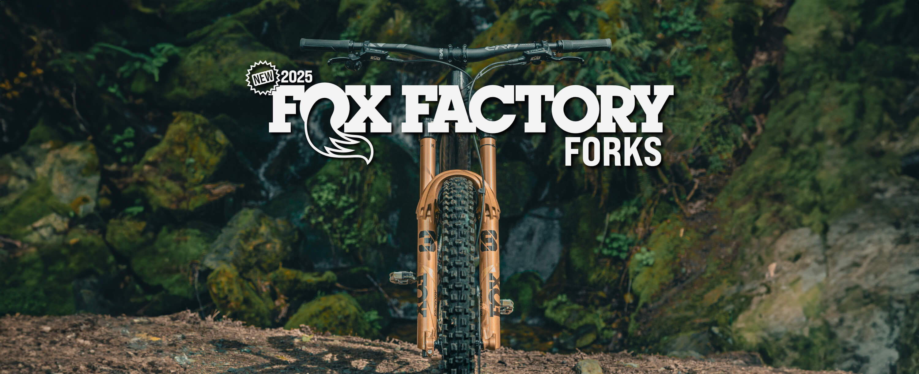 2025 fox factory fork logo with factory 38 in podium gold in front of washington woods