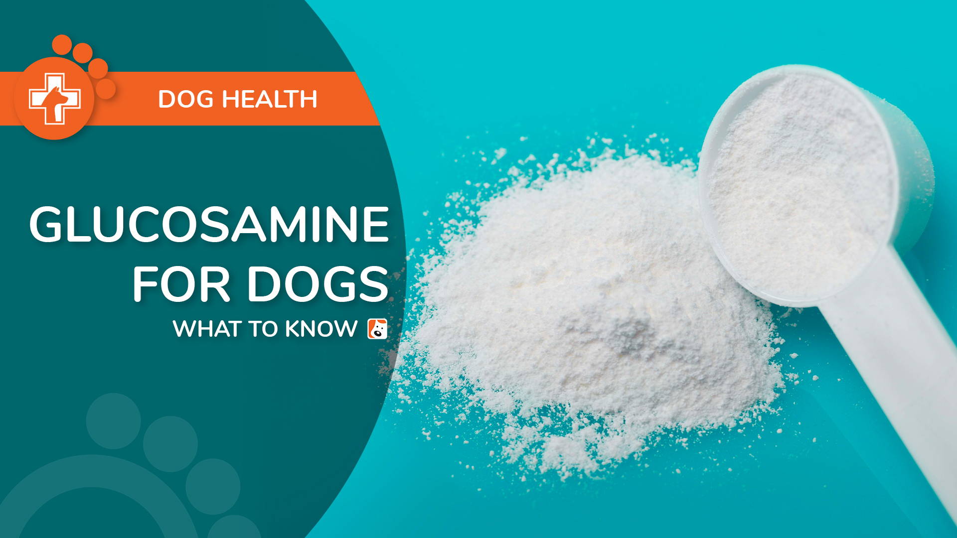 What to Know About Glucosamine for Dogs - Boneo Canine
