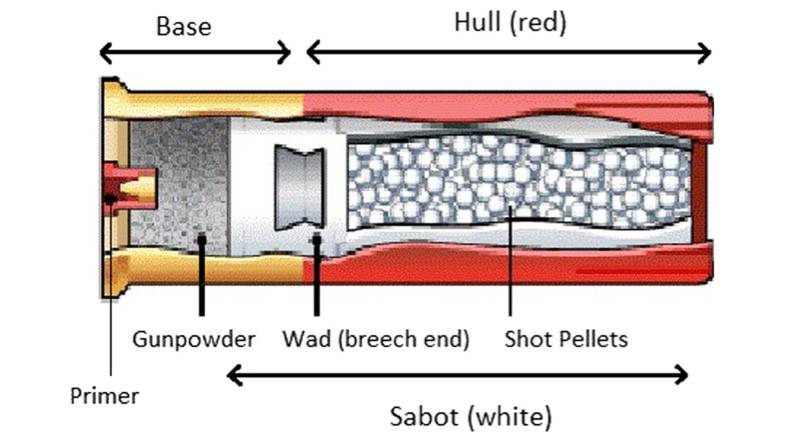 Diagram of Shotgun Shell