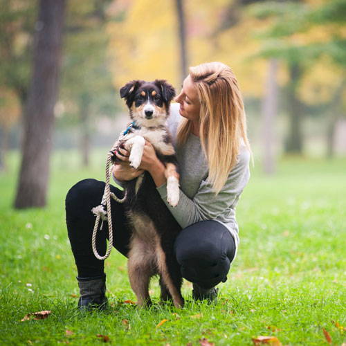 A woman meeting a dog in a park