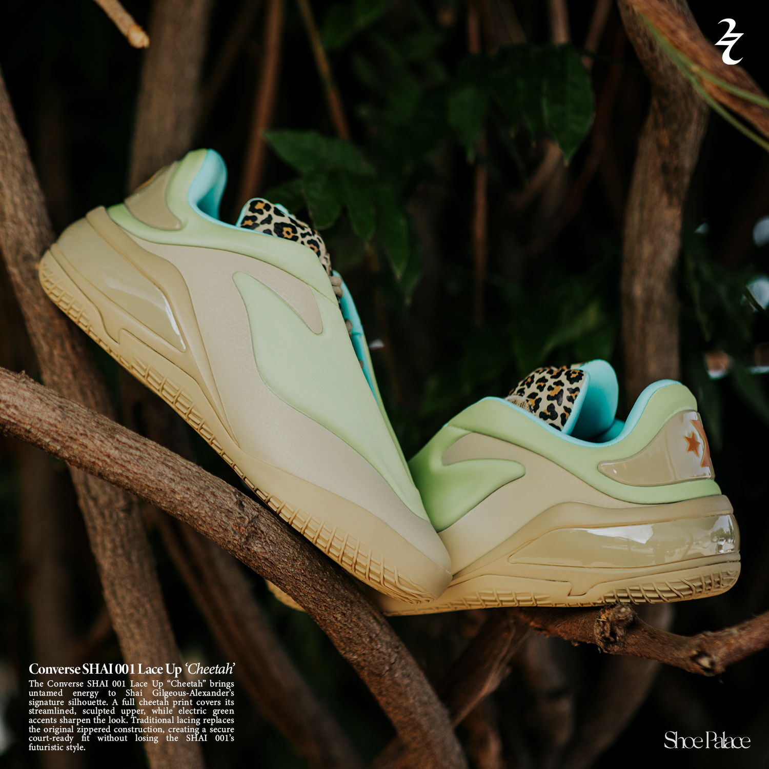 A pair of mint green sneakers on tree branches.