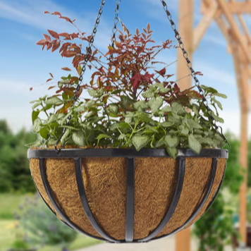 Hanging basket with green and red plants