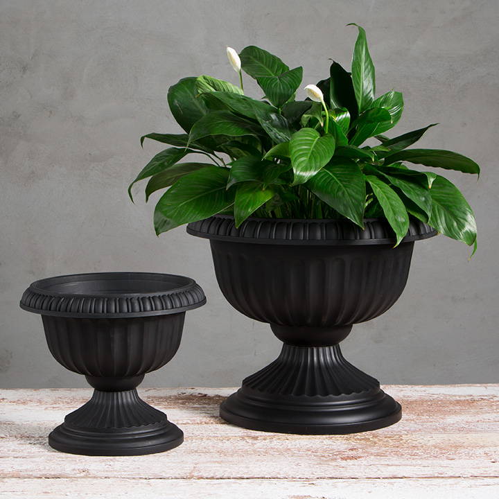 Flowers growing in a large black grecian urn with a small empty black grecian urn next to it