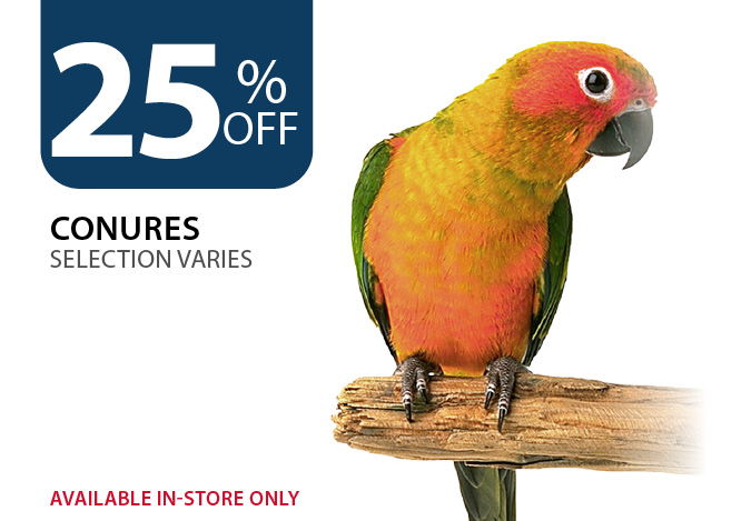 25% off Conures. Available in-store only