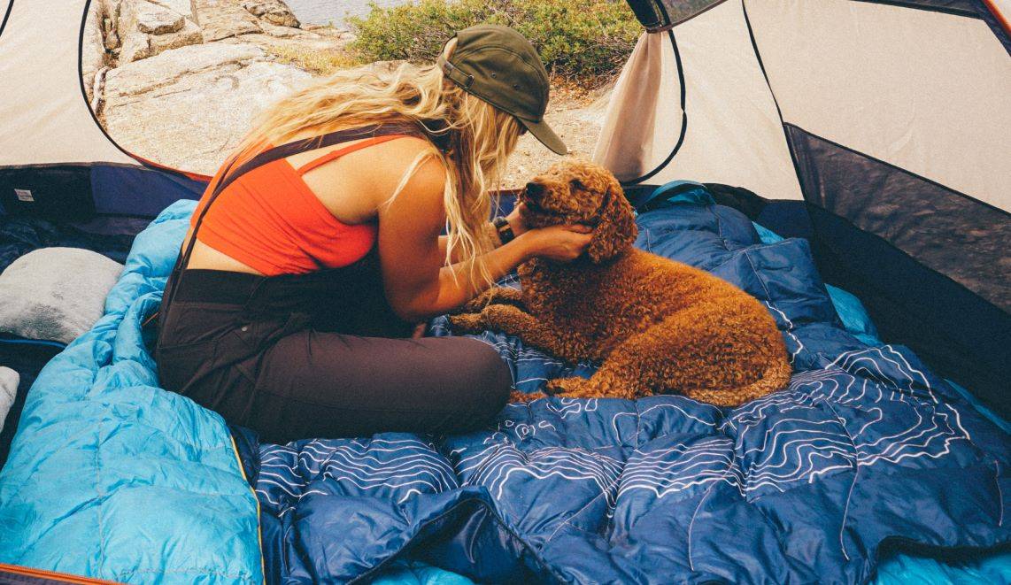 a person petting a dog in a tent