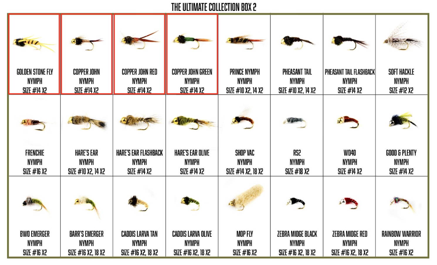 Fly Fishing Premium Boxed set 200 Flies Loads of varieties For Fly Fishing 