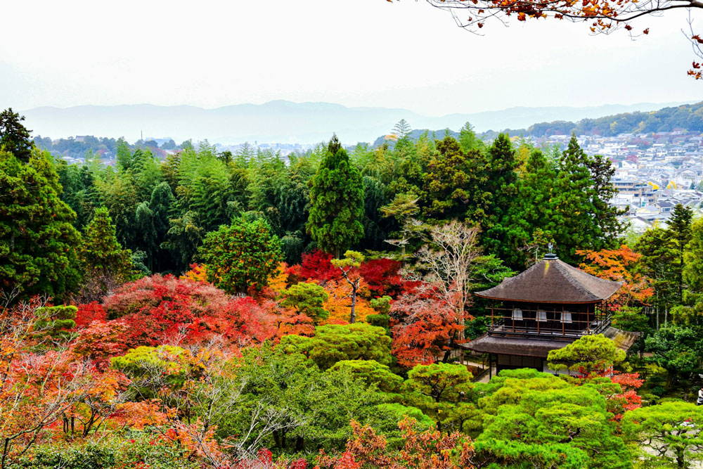 京都のドライブ旅行おすすめ3選
