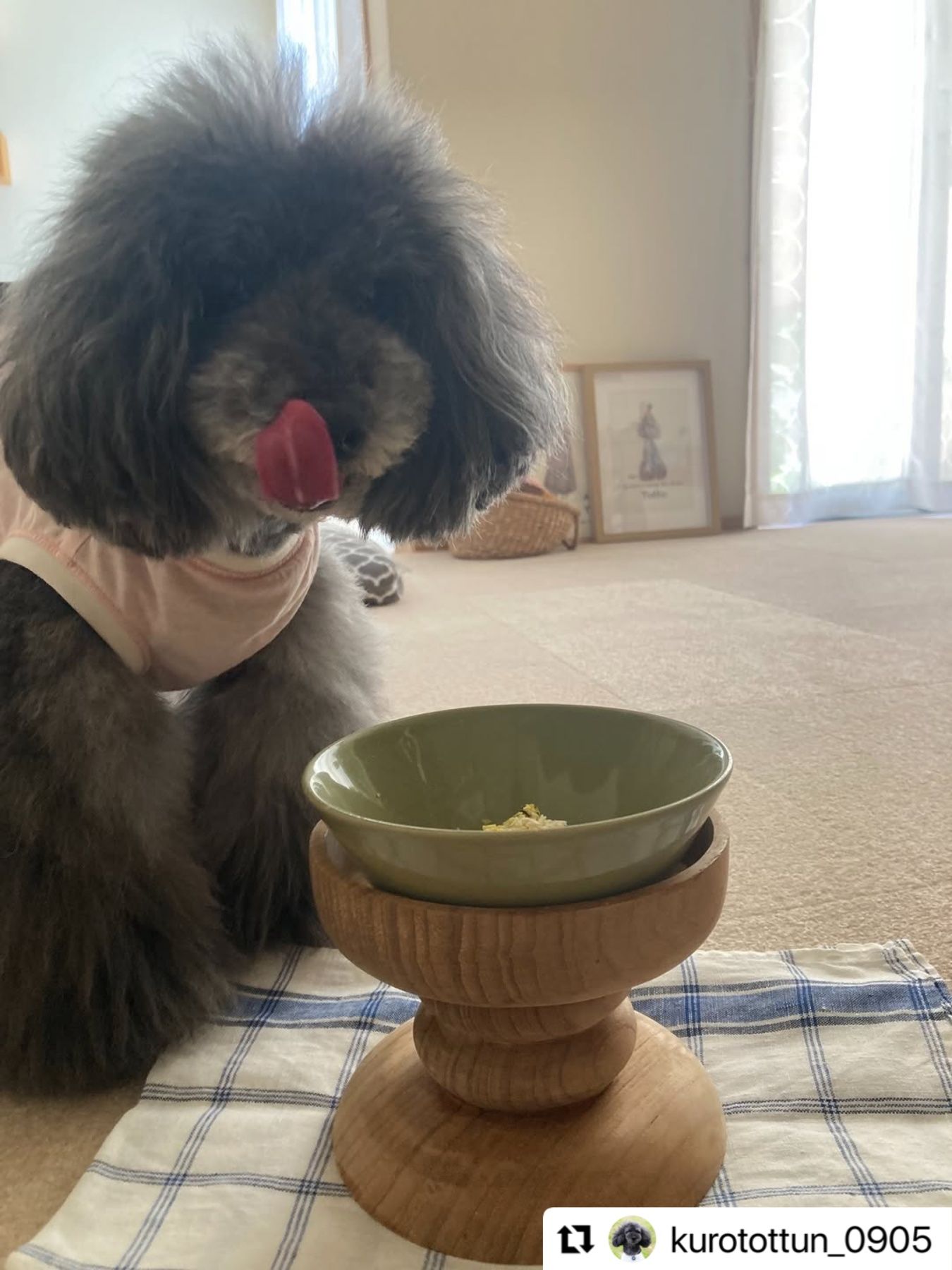 Dog sitting by a bowl on a mat, looking at food.