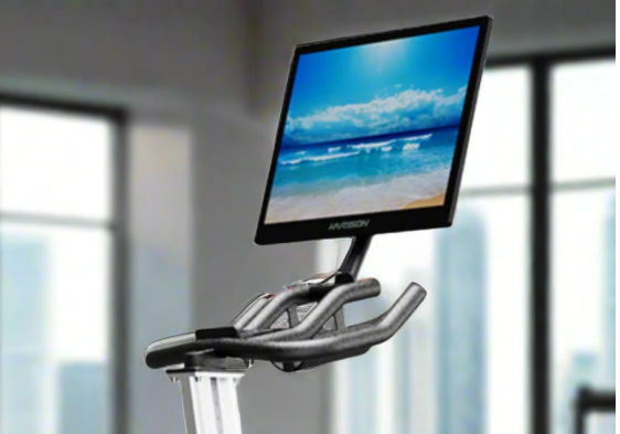 Exercise bike with a monitor displaying a scenic beach view.