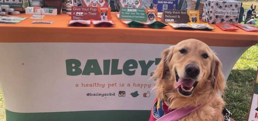 Image of a happy dog in front of a variety of Bailey’s CBD treats.