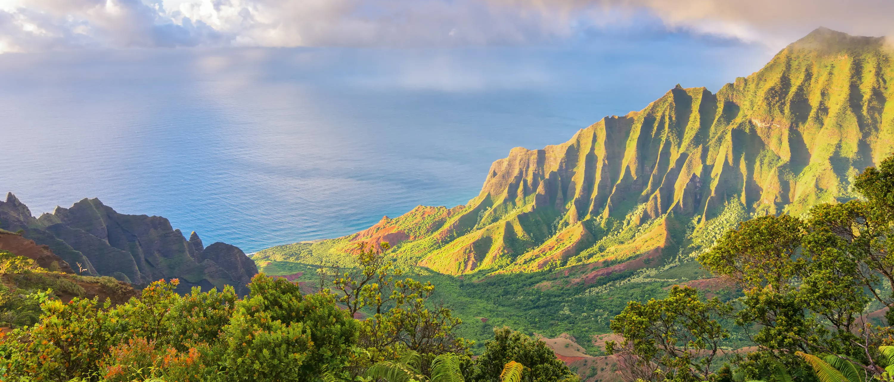 kauai hawaii excursions