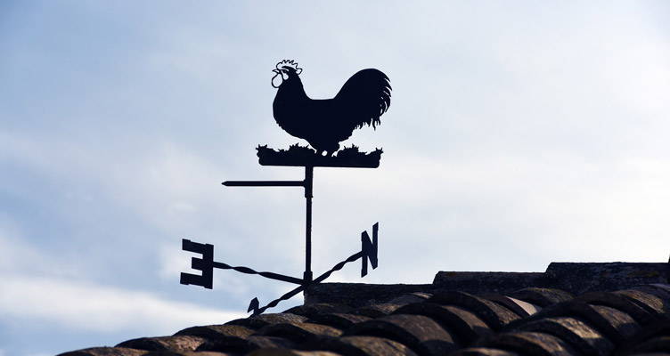 Tuin op het oosten