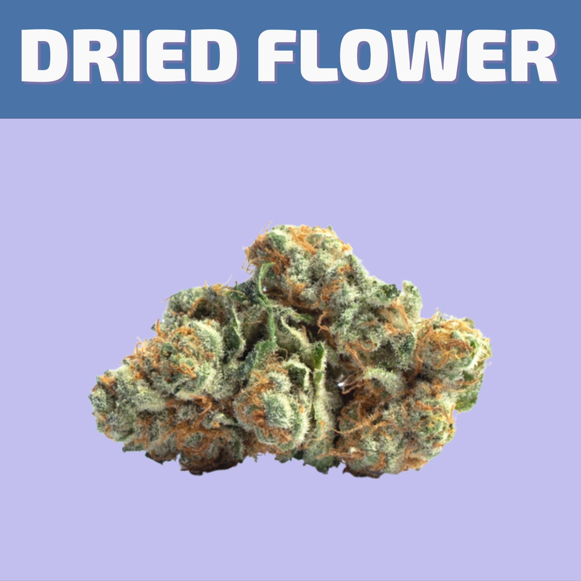 Shop our selection of dried flower online for same day delivery or buy them at our cannabis store in Winnipeg on 580 Academy Road. 