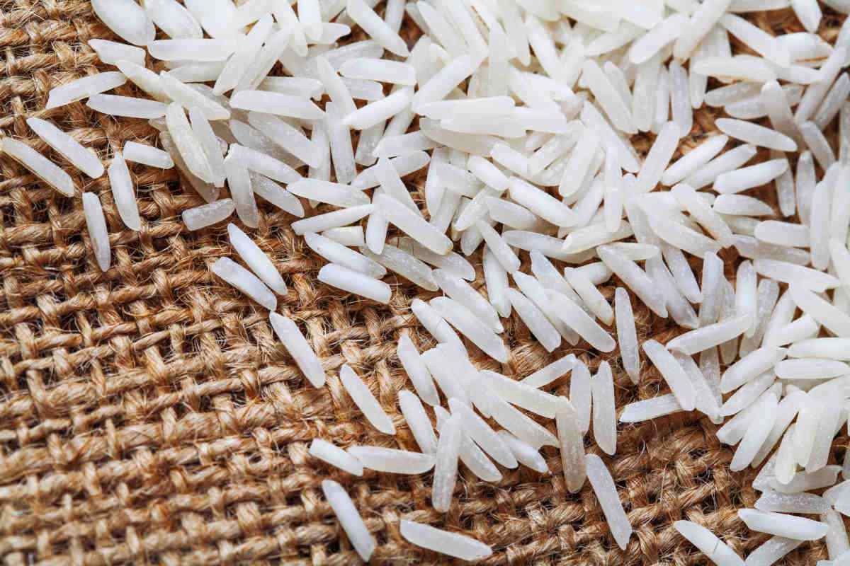 Basmati rice closeup | How To Make The Famous Healing Kitchari Stew | kitchari diet