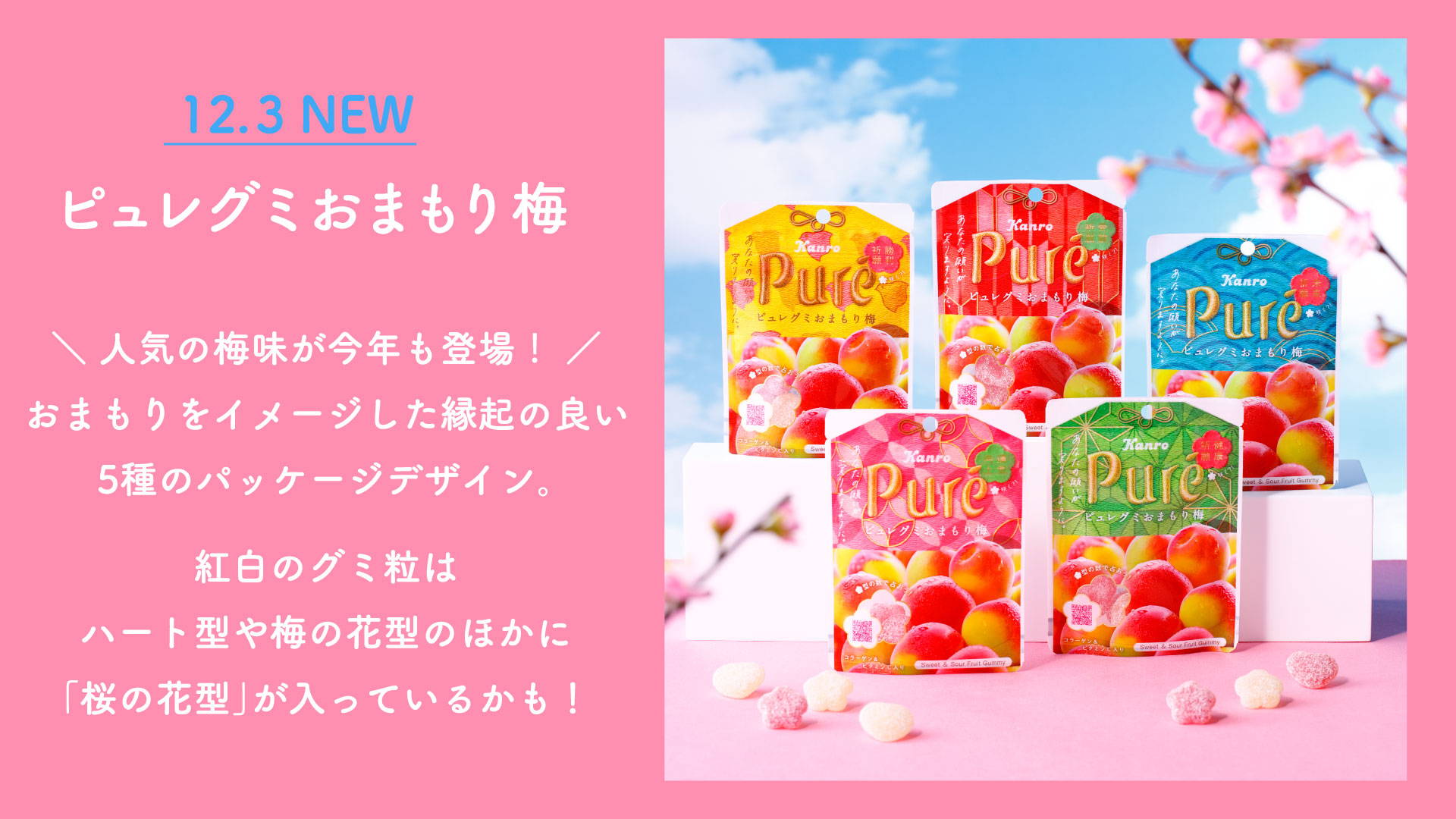 あっきゅん様専用 （スマートコミュニティ稲毛の詳細情報・費用