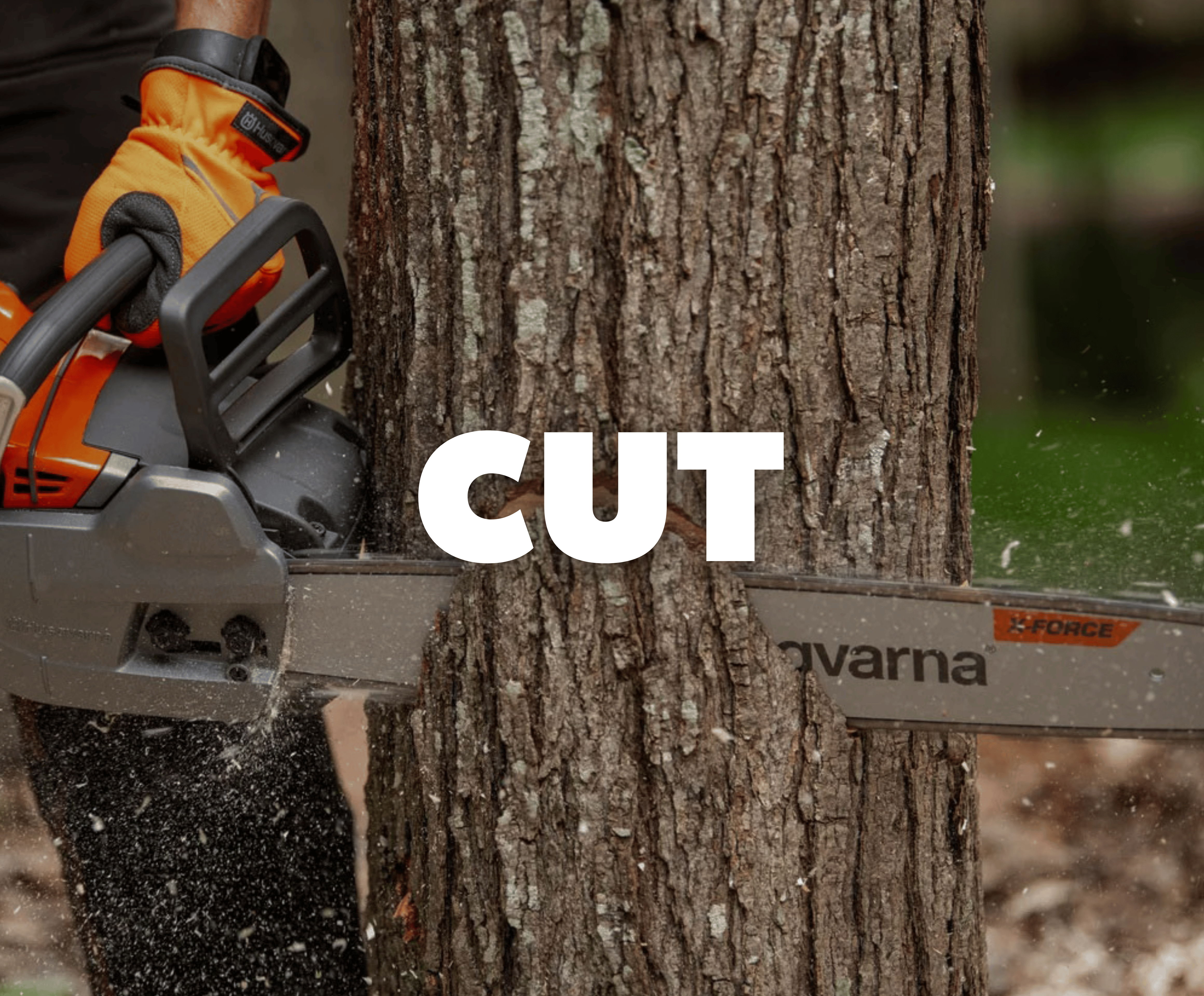 Person using a chainsaw to cut a tree.
