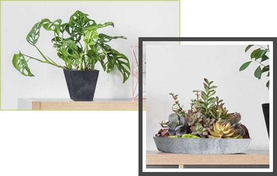Small black ella square planter and a gray napa tray