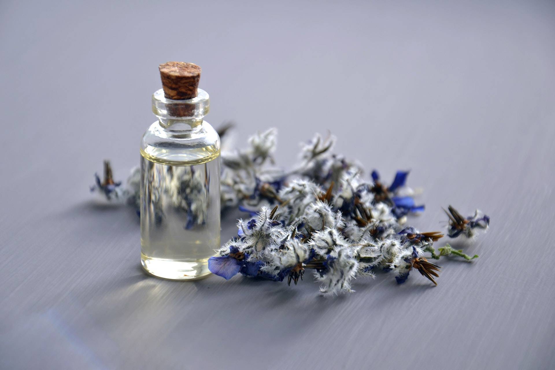 Image of a vial of essential oils and a sprig of lavender on a light purple surface