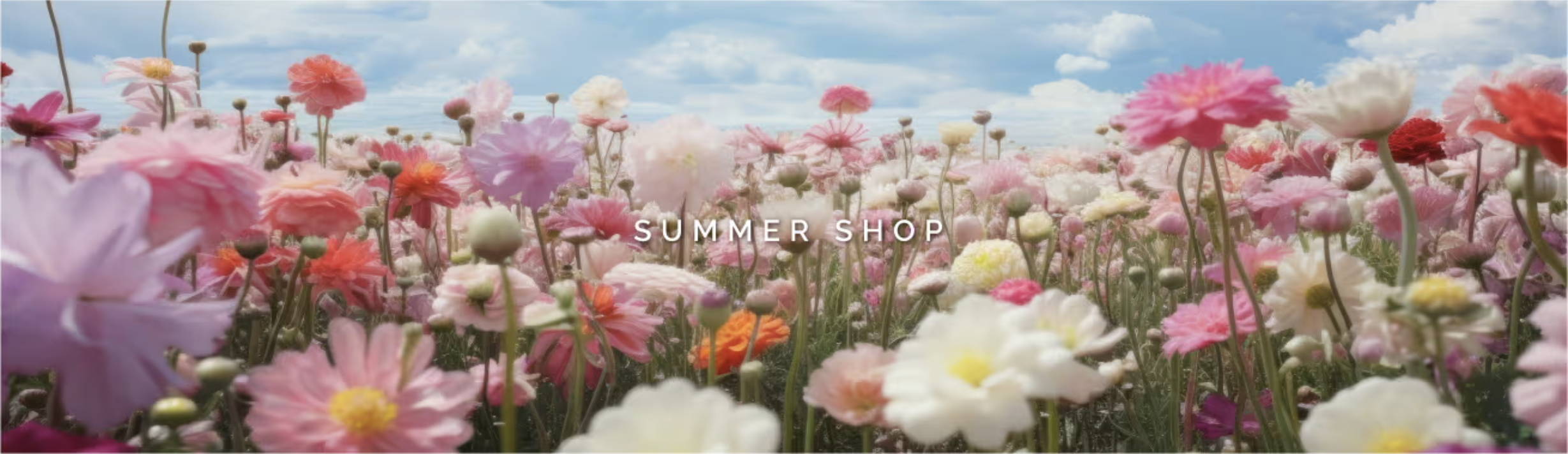 Summer Shop