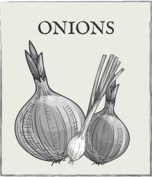 Jump down to Onions growing guide