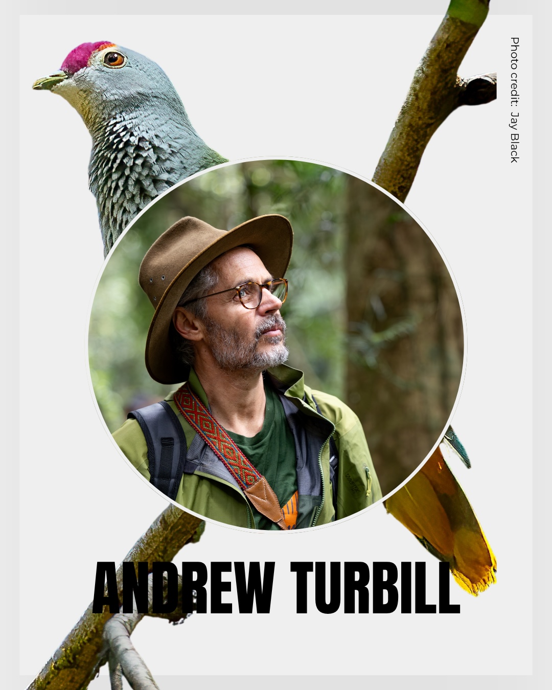 Bird tales hero image of Andrew Turbill, the Bird guy with a rose-crowned dove