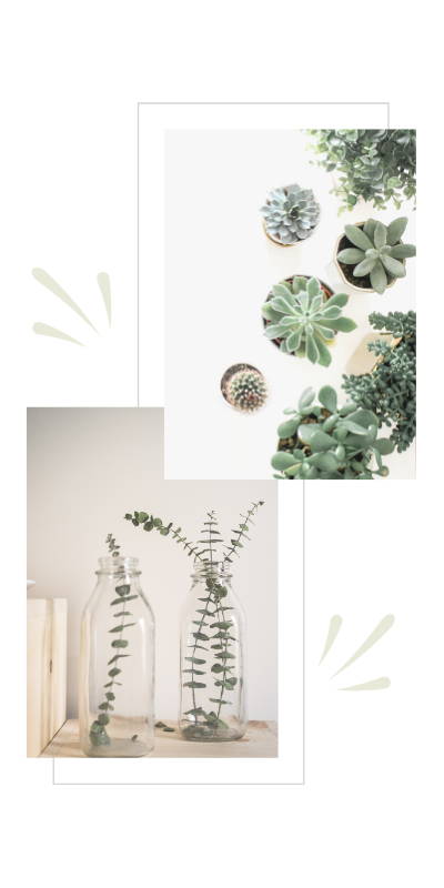 Decorating with minimalism with artificial flowers and succulents