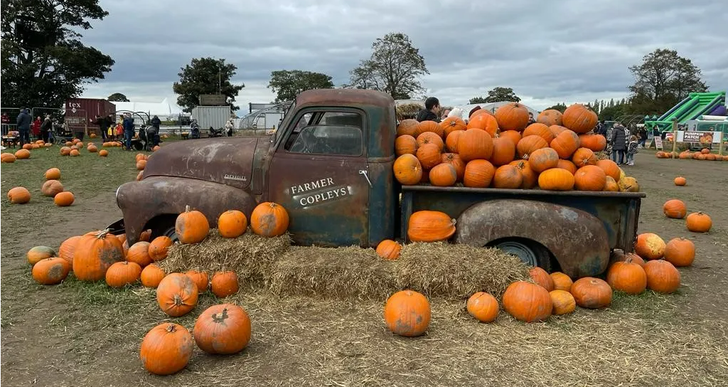 A truck filled with pumpkins at Farmer Copleys.